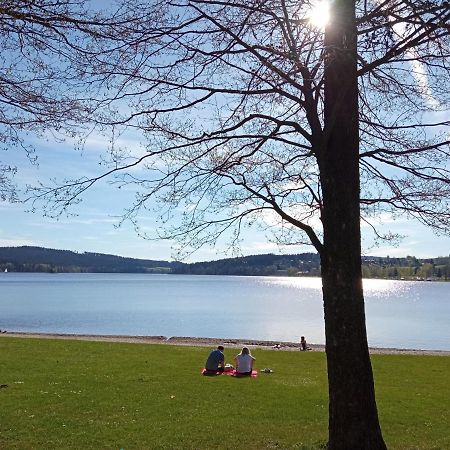 Apartman29 Lipno nad Vltavou Exteriör bild
