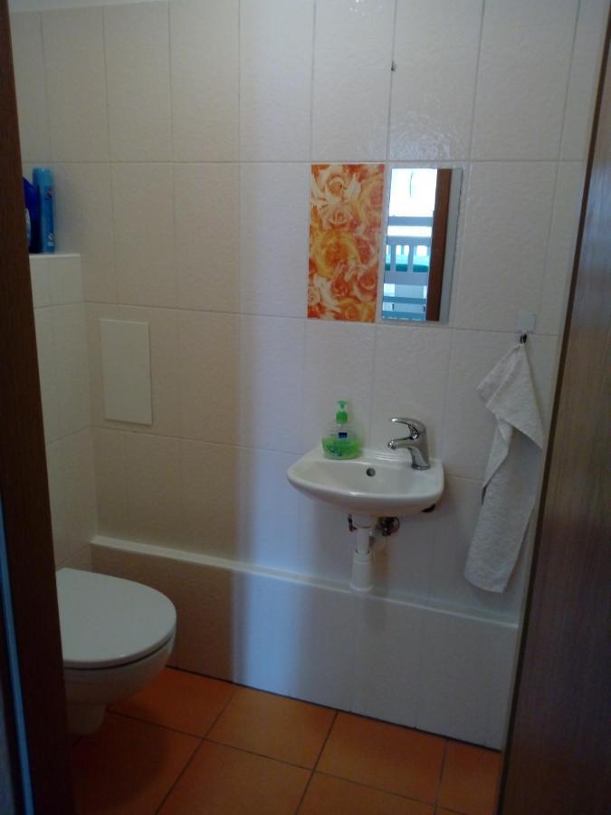 Apartman29 Lipno nad Vltavou Exteriör bild