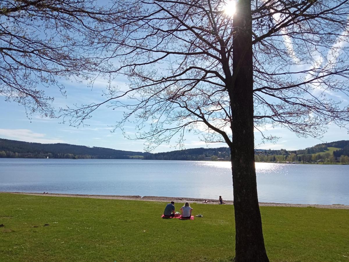 Apartman29 Lipno nad Vltavou Exteriör bild